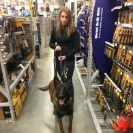 Ares in Lowe's
